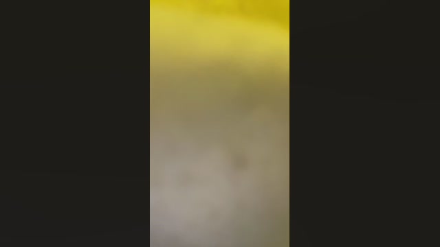 365dni83691  24-05-2022